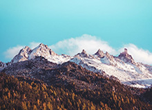 开云体育-Kysports：引领运动潮流的新风向