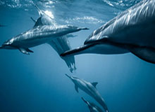 开云体育-Kysports：引领运动潮流的新风向